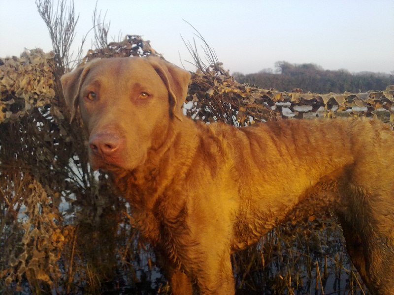 Publication : des esclassiers