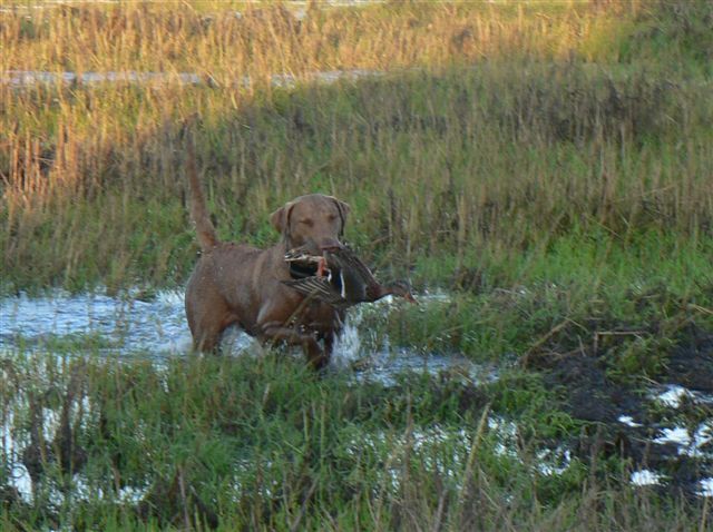 Publication : des esclassiers