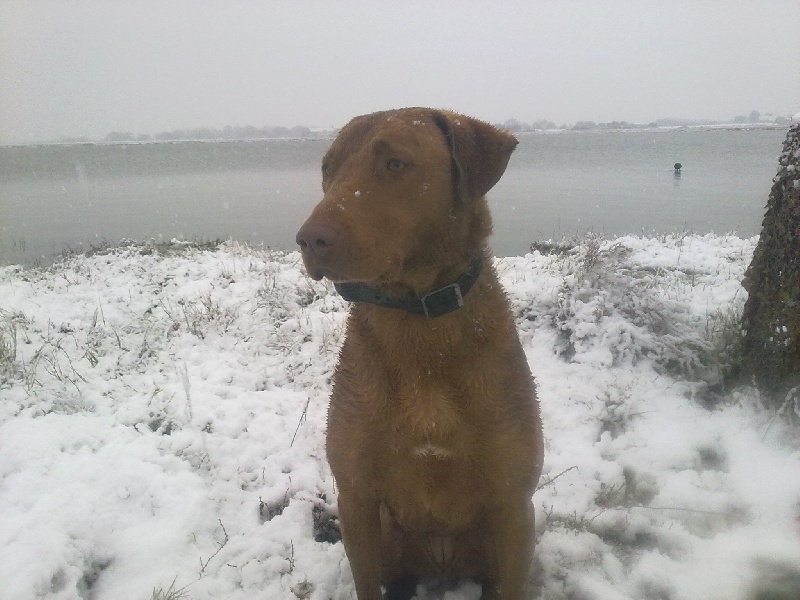 Publication : des esclassiers