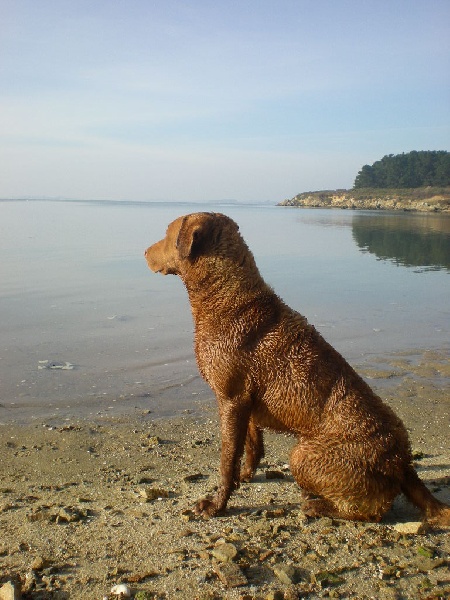 Publication : des esclassiers