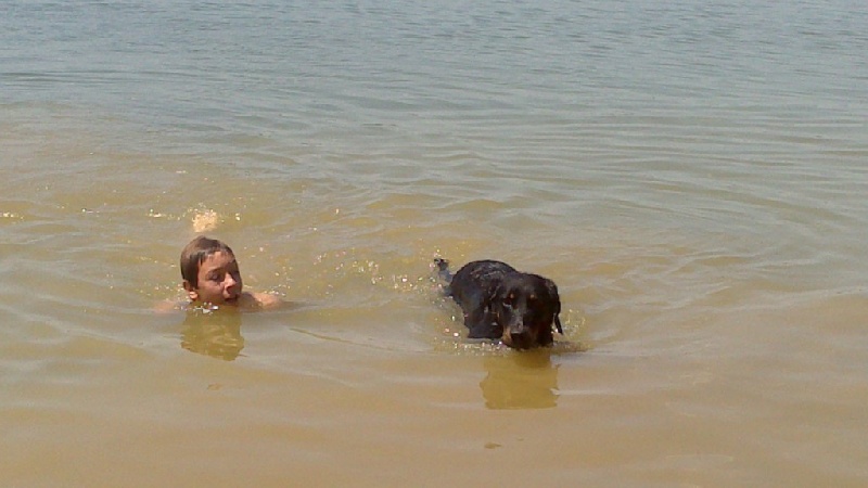 Publication : De La Terre Des Lions Auteur : Margyl Himbert