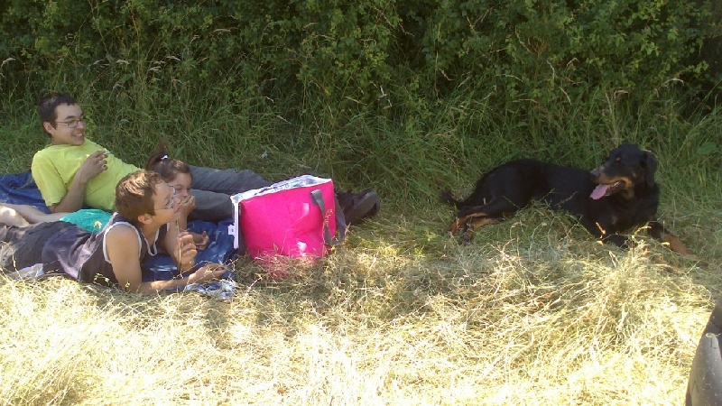 Publication : De La Terre Des Lions Auteur : Margyl Himbert