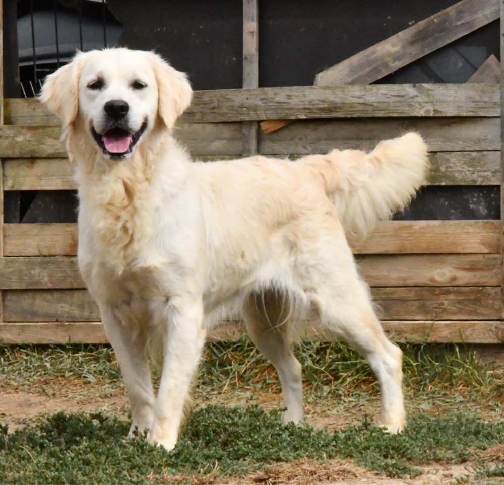 Publication : Des Collines D'Evereven Auteur : Evereven© 2025