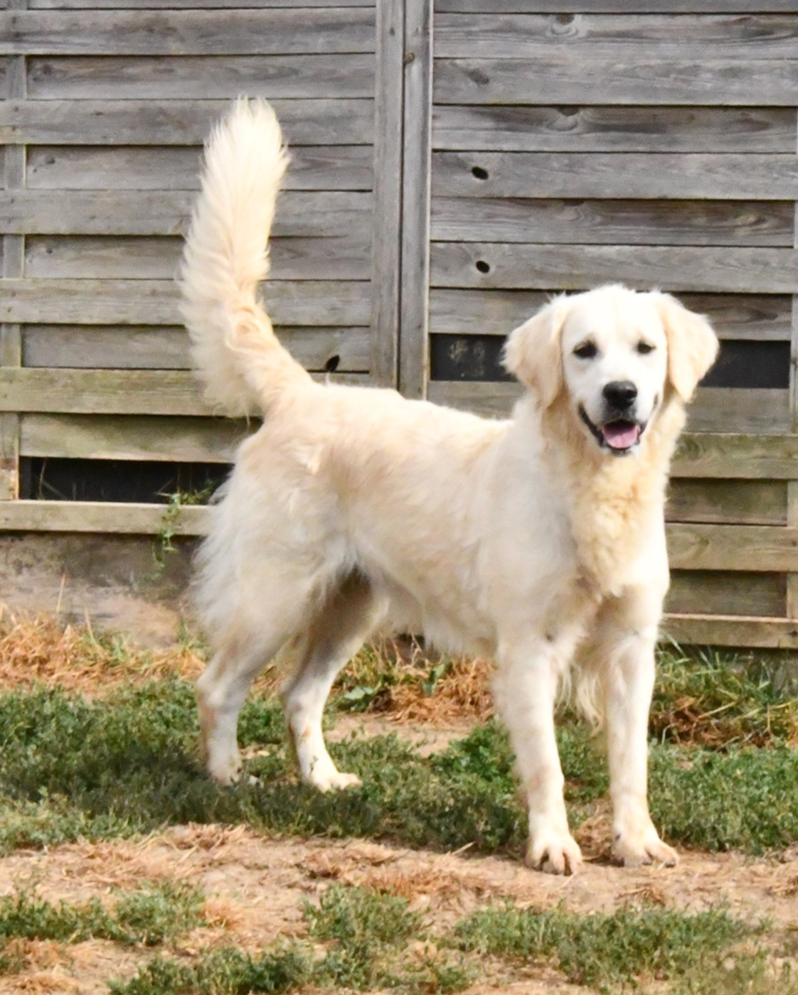 Publication : Des Collines D'Evereven Auteur : Evereven© 2025