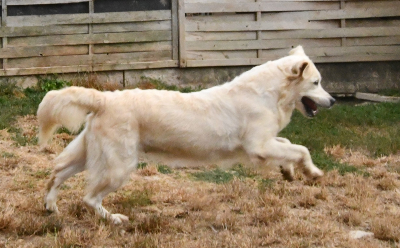 Publication : Des Collines D'Evereven Auteur : Evereven© 2025