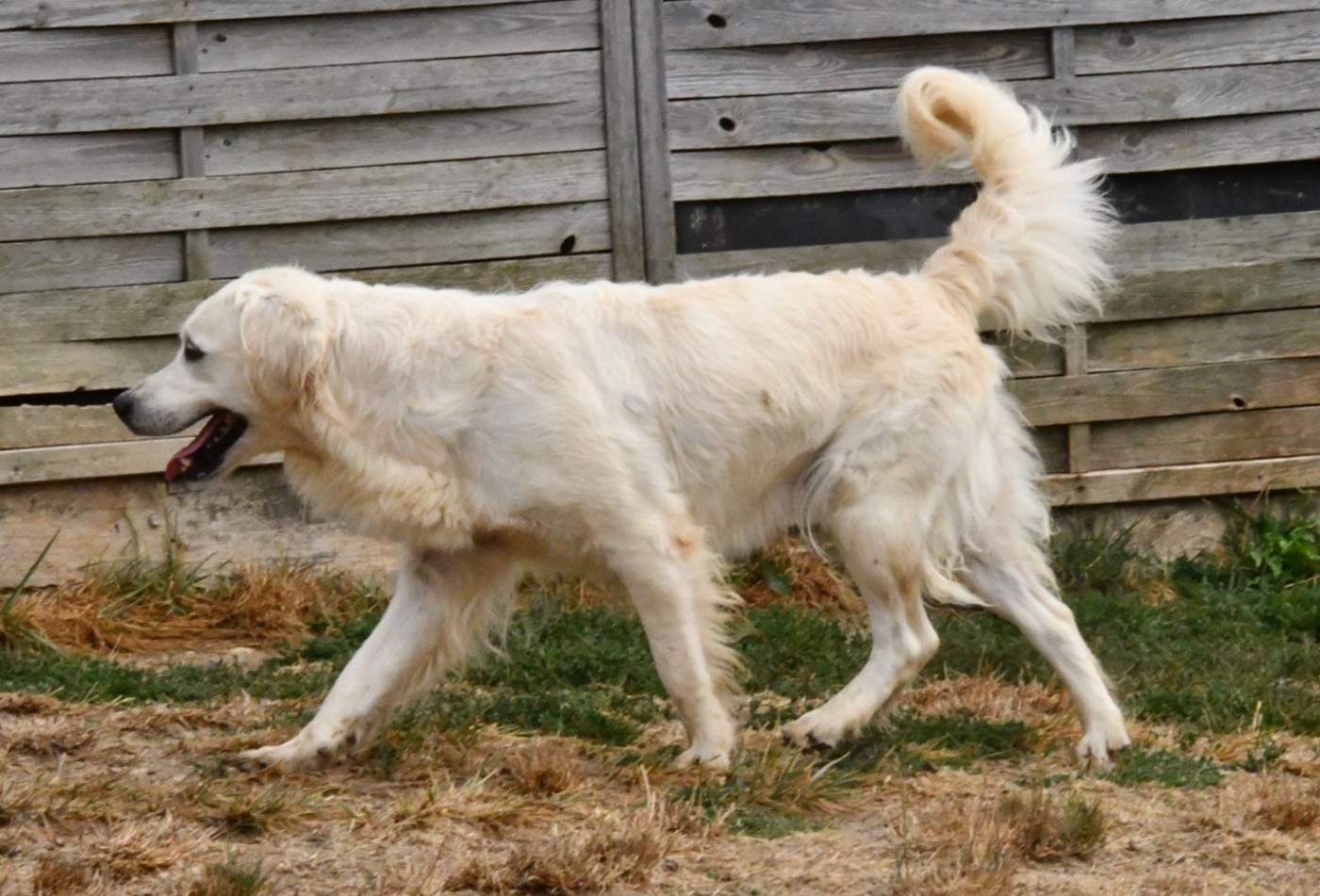 Publication : Des Collines D'Evereven Auteur : Evereven© 2025