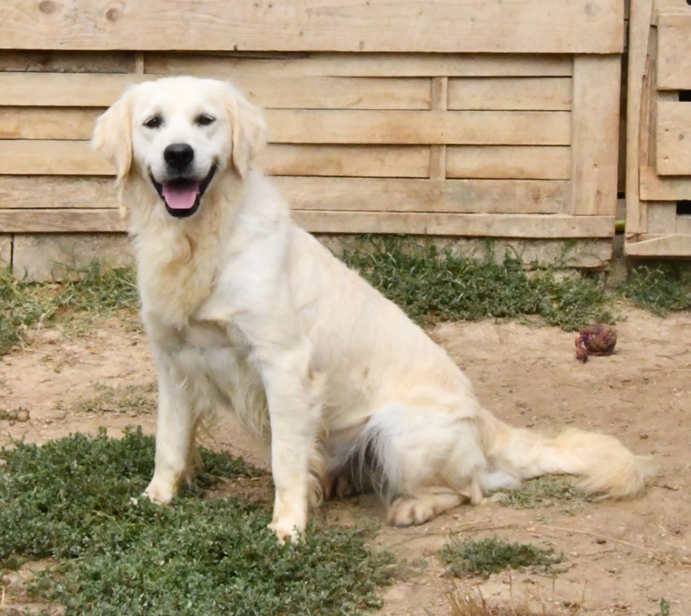 Publication : Des Collines D'Evereven Auteur : Evereven© 2025