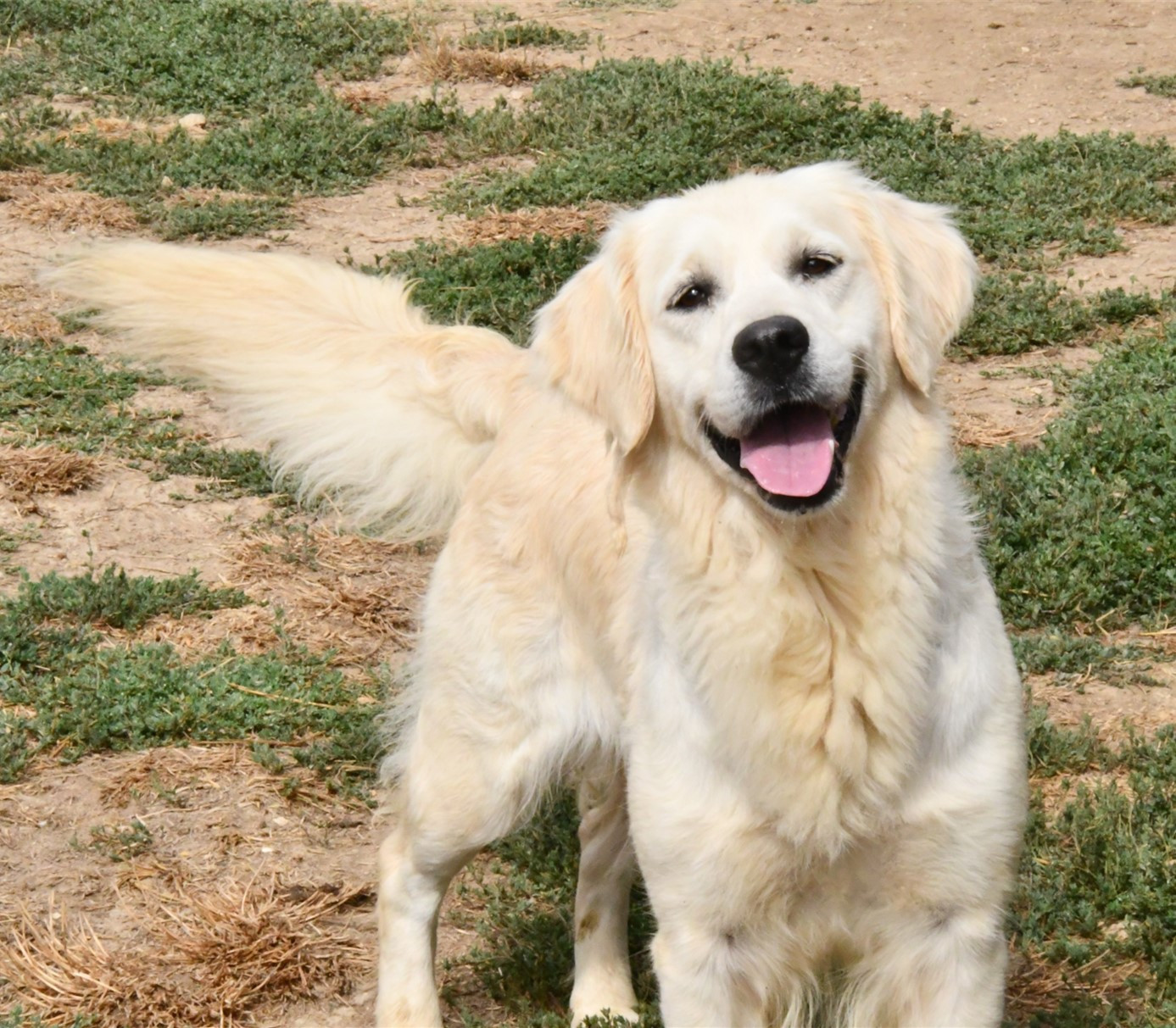 Publication : Des Collines D'Evereven Auteur : Evereven© 2025