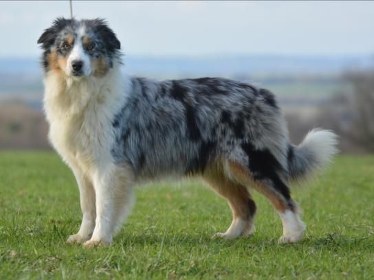 Publication : Des Collines D'Evereven Auteur : Evereven© 2021