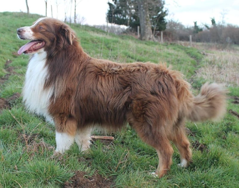 Publication : Des Collines D'Evereven Auteur : Evereven©