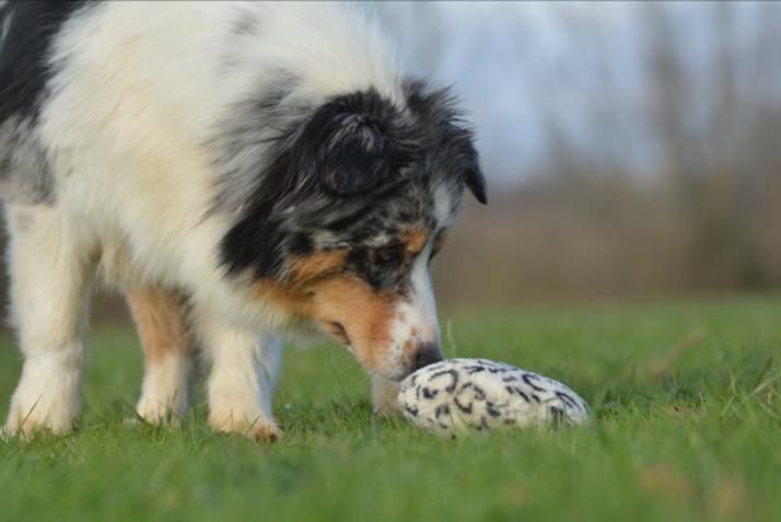 Publication : Des Collines D'Evereven Auteur : Evereven© 2021