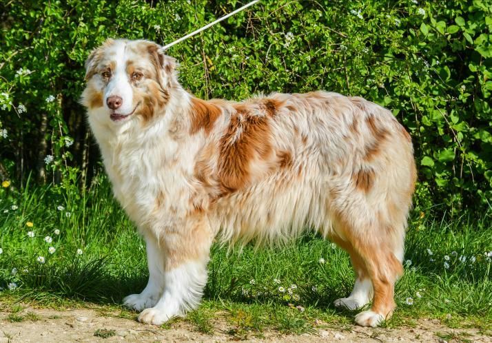 Publication : Des Collines D'Evereven Auteur : Evereven© - 2020