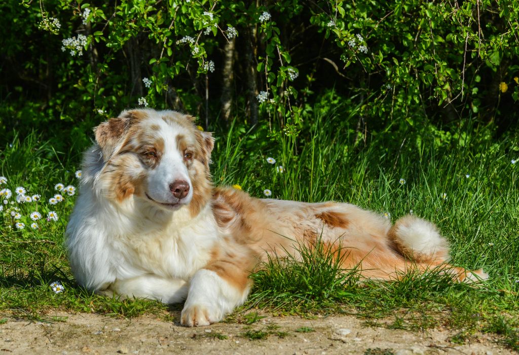 Publication : Des Collines D'Evereven Auteur : Evereven© - 2020