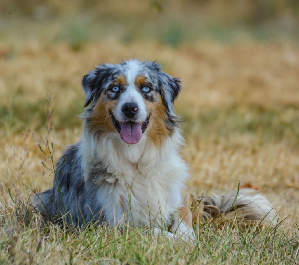 Publication : Des Collines D'Evereven Auteur : Evereven© - 2020