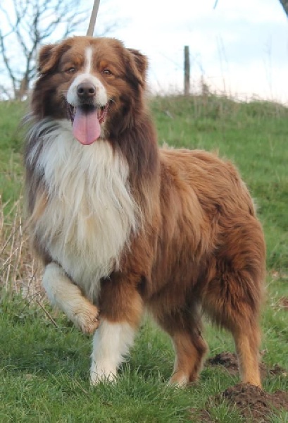 Publication : Des Collines D'Evereven Auteur : Evereven©