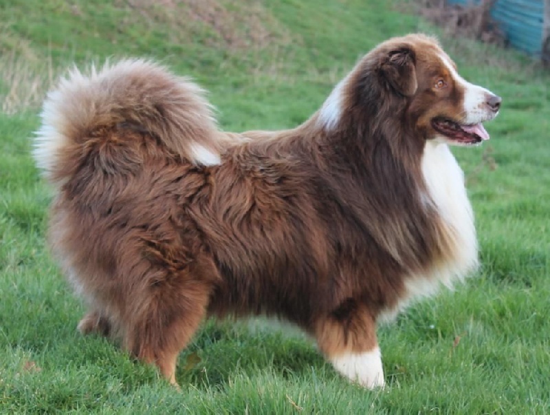 Publication : Des Collines D'Evereven Auteur : Evereven©