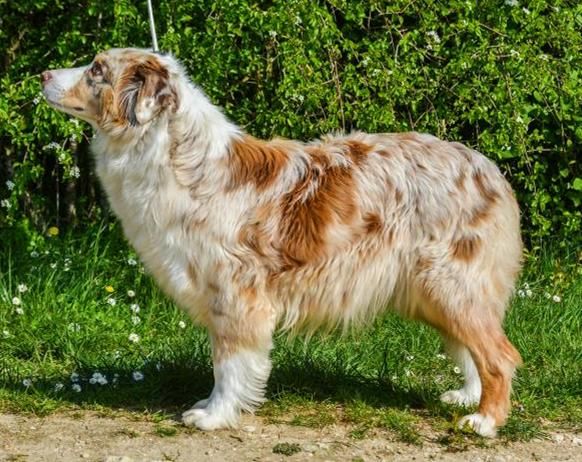 Publication : Des Collines D'Evereven Auteur : Evereven© - 2020