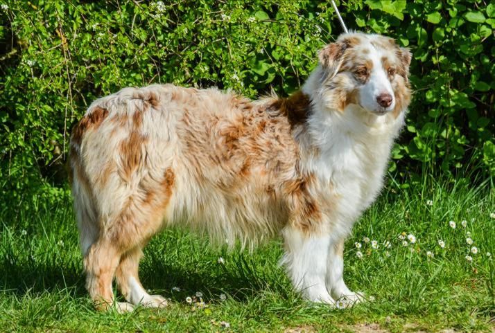 Publication : Des Collines D'Evereven Auteur : Evereven© - 2020