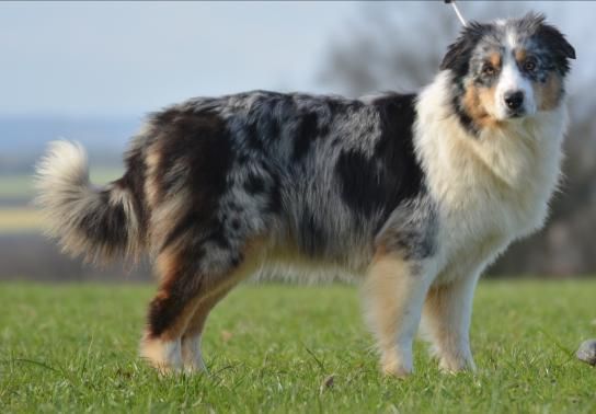 Publication : Des Collines D'Evereven Auteur : Evereven© 2021