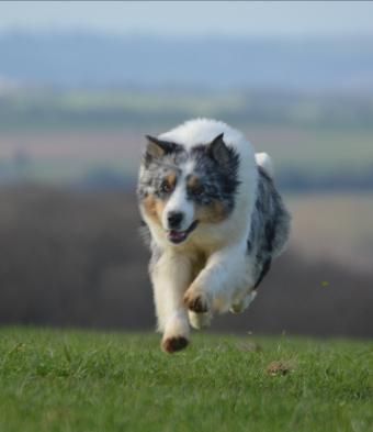 Publication : Des Collines D'Evereven Auteur : Evereven© 2021