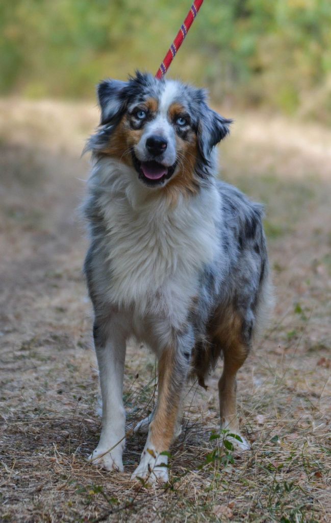 Publication : Des Collines D'Evereven Auteur : Evereven© - 2020