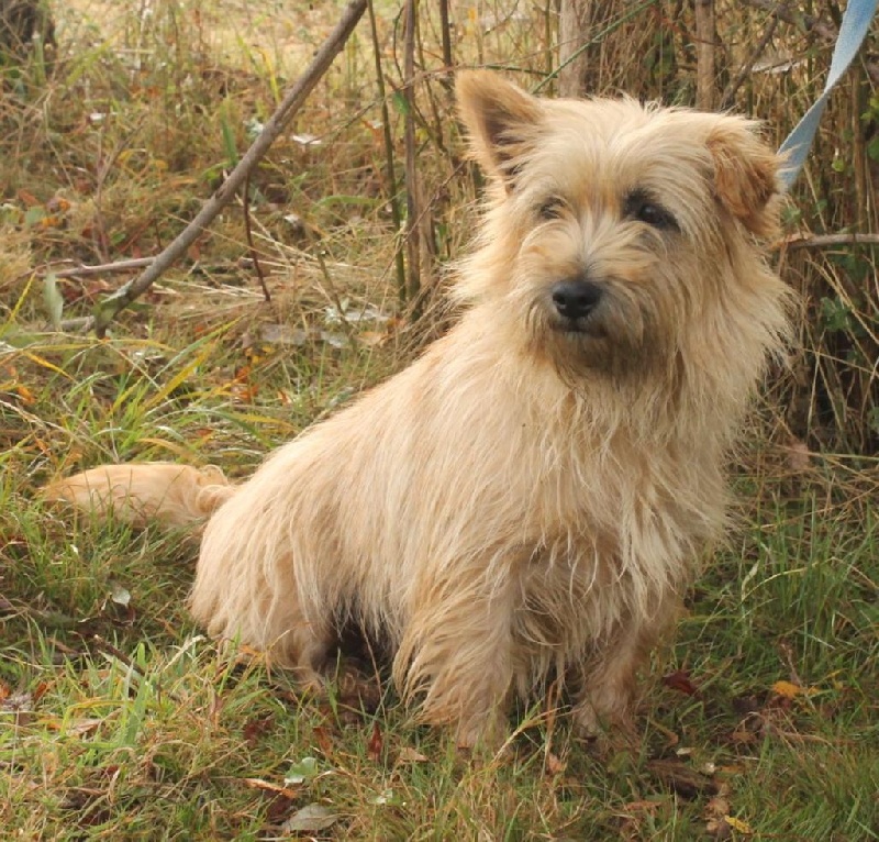 Publication : Des Collines D'Evereven Auteur : Evereven©