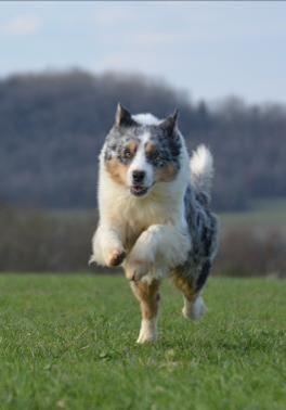 Publication : Des Collines D'Evereven Auteur : Evereven© 2021