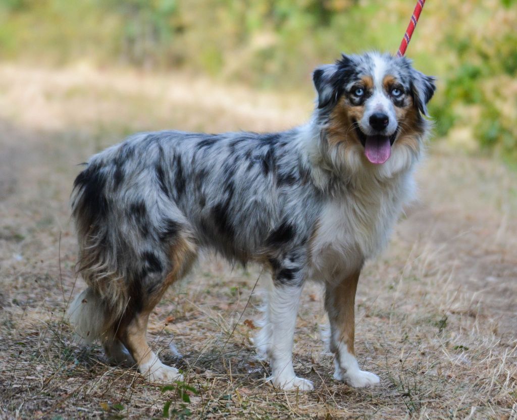 Publication : Des Collines D'Evereven Auteur : Evereven© - 2020