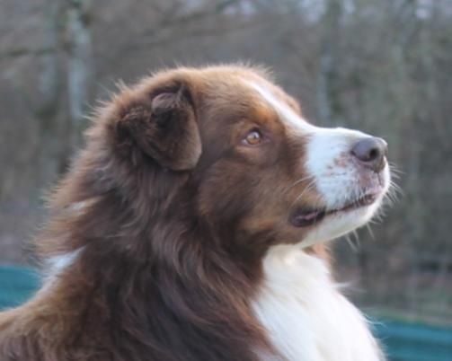 Publication : Des Collines D'Evereven Auteur : Evereven©