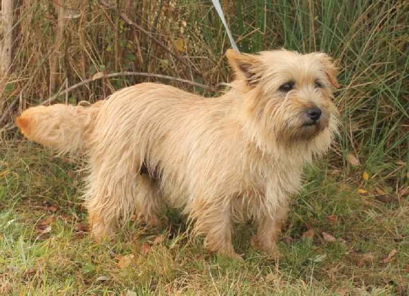 Publication : Des Collines D'Evereven Auteur : Evereven©