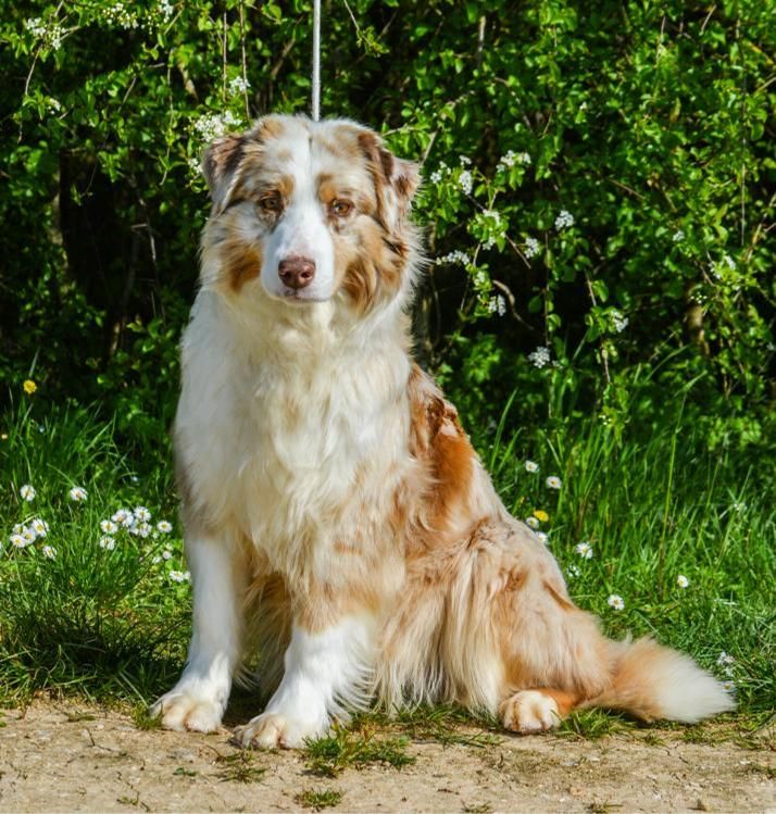 Publication : Des Collines D'Evereven Auteur : Evereven© - 2020