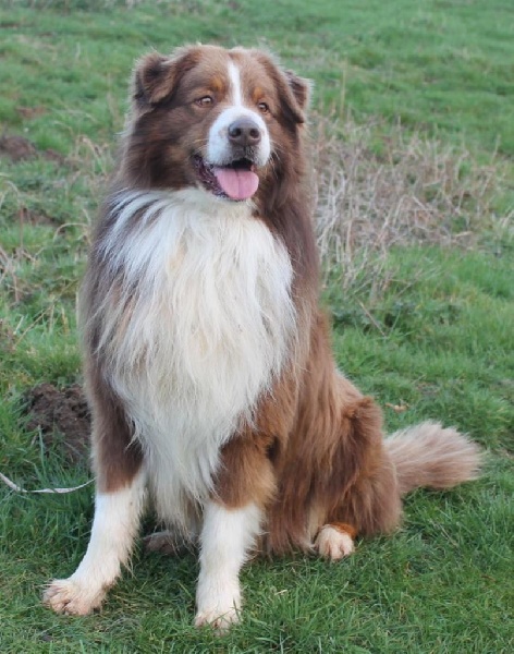 Publication : Des Collines D'Evereven Auteur : Evereven©