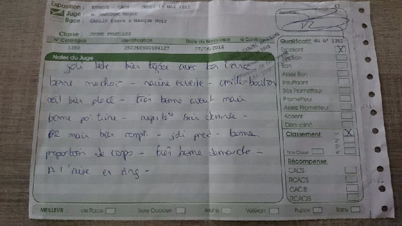 June du Jardin d'Elune - Classe Jeune - 1er Excellent