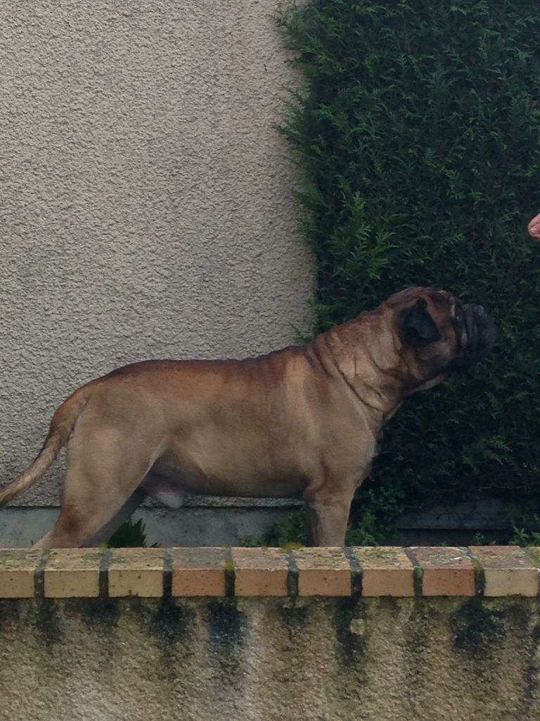 Jump Des Falaises Ardentes