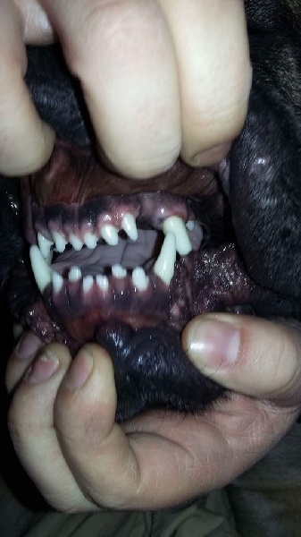 Jump Des Falaises Ardentes