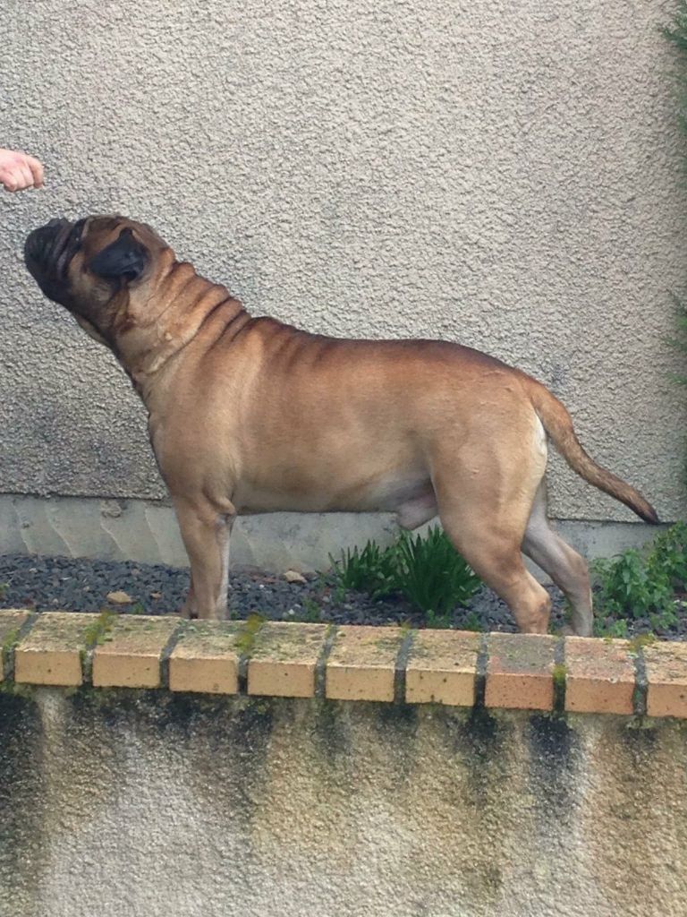 Jump Des Falaises Ardentes