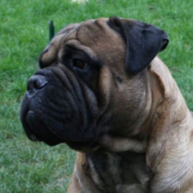 Jump Des Falaises Ardentes