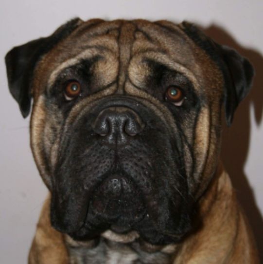 Jump Des Falaises Ardentes