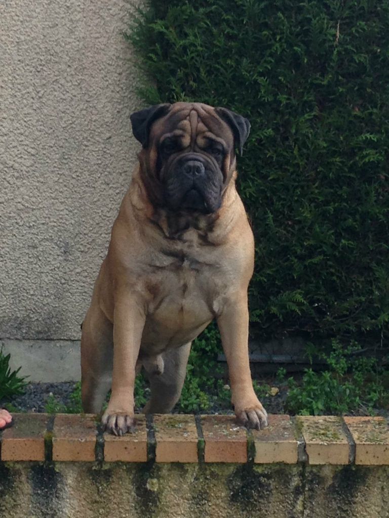 Jump Des Falaises Ardentes