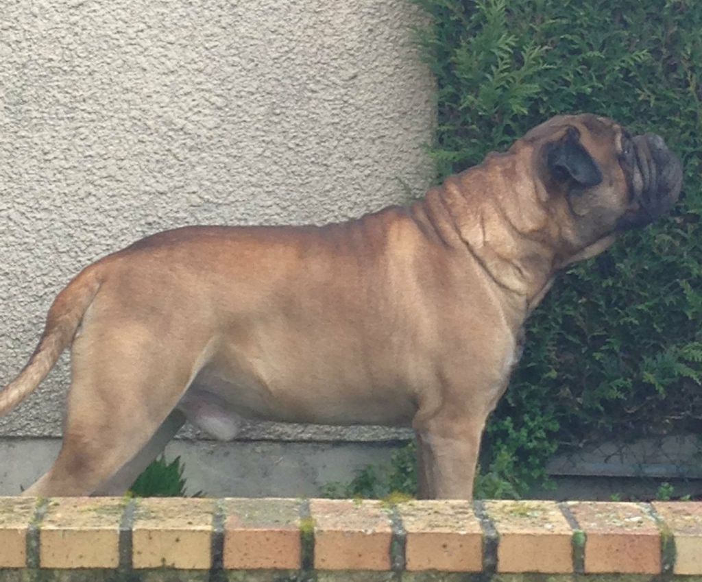 Jump Des Falaises Ardentes