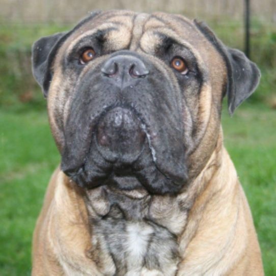 Jump Des Falaises Ardentes