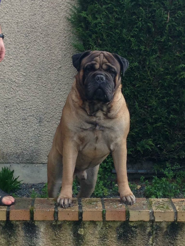 Jump Des Falaises Ardentes