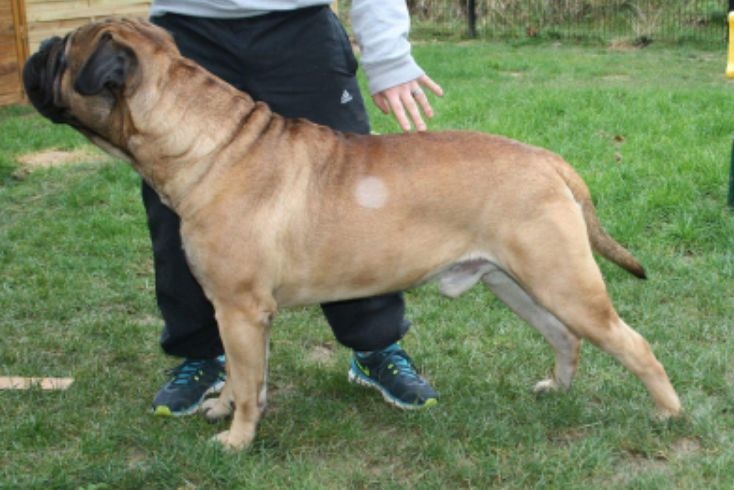 Jump Des Falaises Ardentes