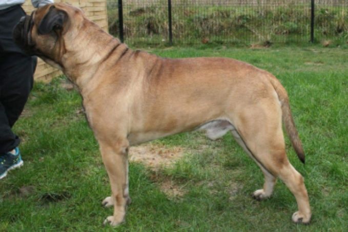 Jump Des Falaises Ardentes