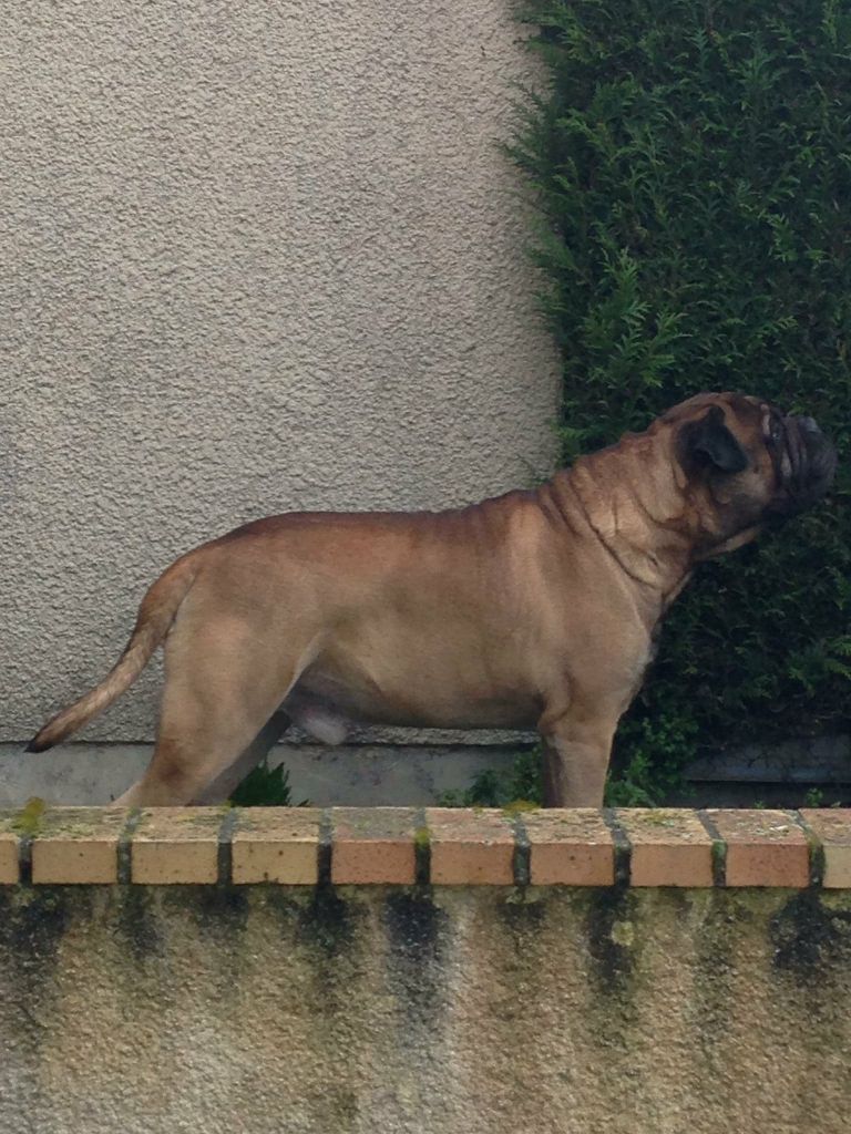 Jump Des Falaises Ardentes