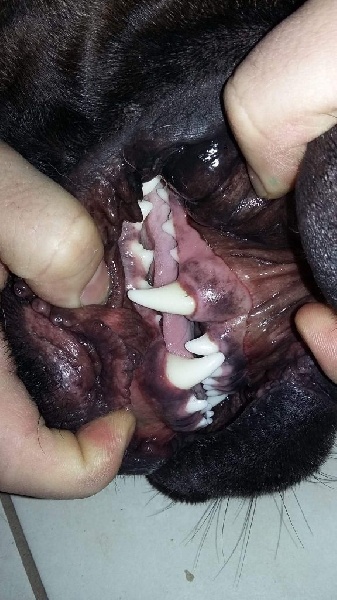 Jump Des Falaises Ardentes