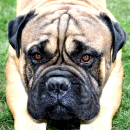 Jump Des Falaises Ardentes