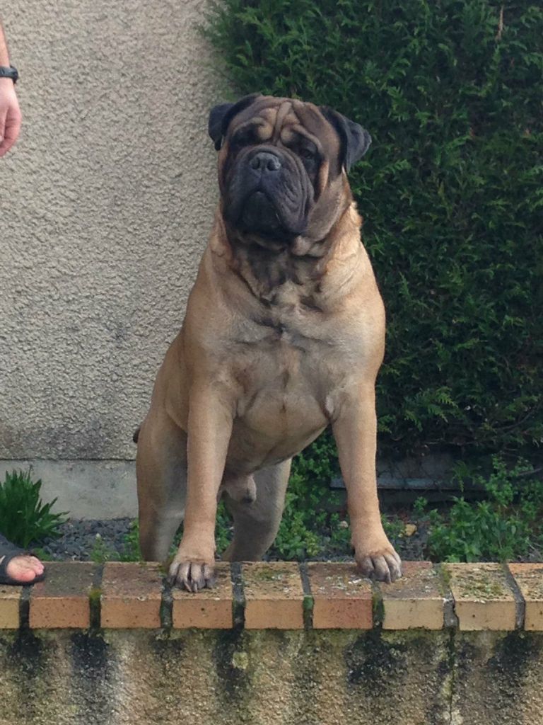 Jump Des Falaises Ardentes