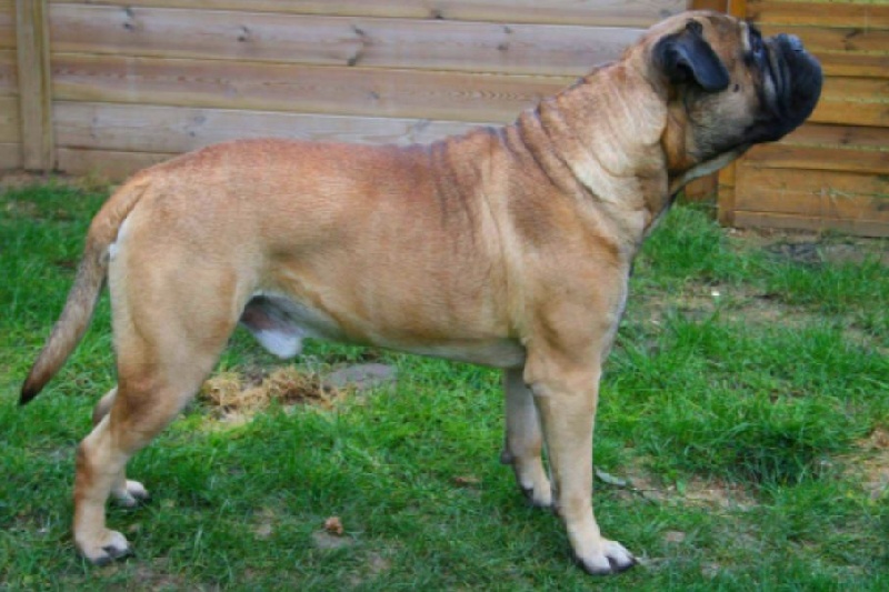 Jump Des Falaises Ardentes