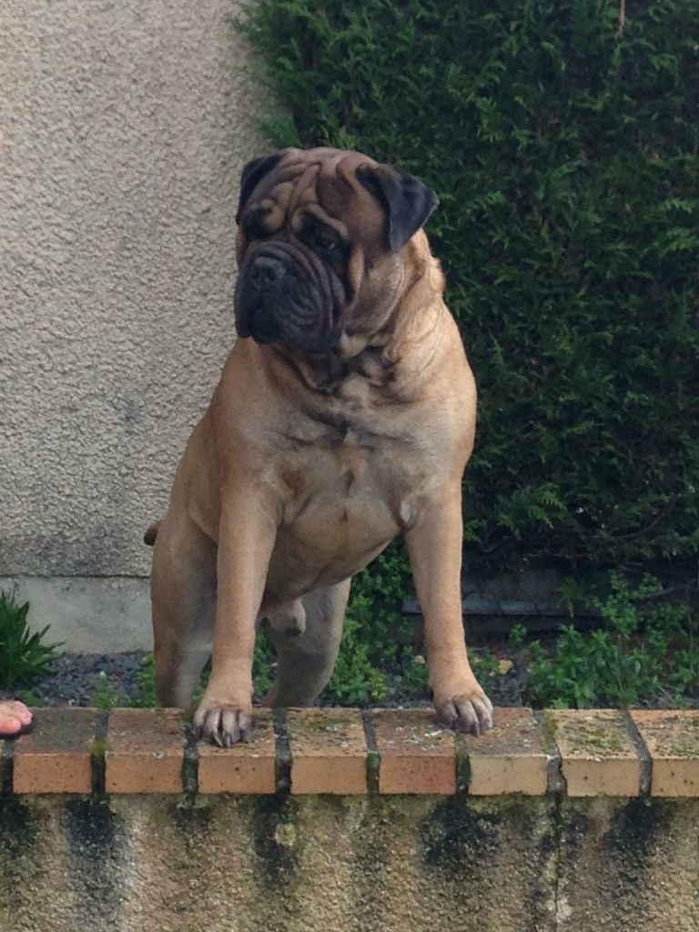 Jump Des Falaises Ardentes